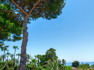 marbella-modern-luxury-villa-in-los-monteros-next-to-the-beach-villa-in-los-monteros (17)